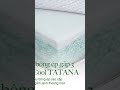 Nệm bông ép gấp 3 Eco Cool TATANA #thegioinem #bmt