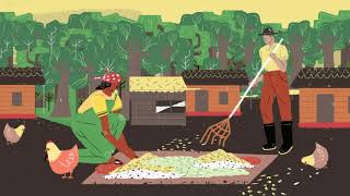 Gestão | Conheça a Rede de Sementes do Vale do Ribeira