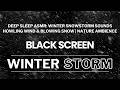 Deep Sleep ASMR: Winter Snowstorm Sounds | Howling Wind &amp; Blowing Snow 🥶 | Nature Ambience