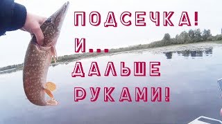 Подсечка 80lvl! Достаю щуку голыми руками. Твичинг воблеров осенью