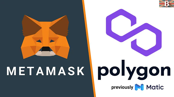 Connect MetaMask to Polygon Tutorial: Plus How to Bridge MATIC Tokens - 天天要聞