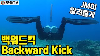 [Technical Diving] Practicing fin Kick, Backward Kick Point