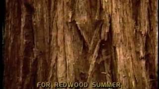 Watch Redwood Summer Trailer