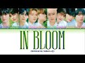 ZEROBASEONE 제로베이스원 In Bloom Lyrics ColorCoded ENG HAN ROM 가사 