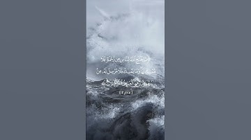سورة فاطر || الحمد لله || ياسر الدوسري #الله #ياسرالدوسري #راحة_نفسية
