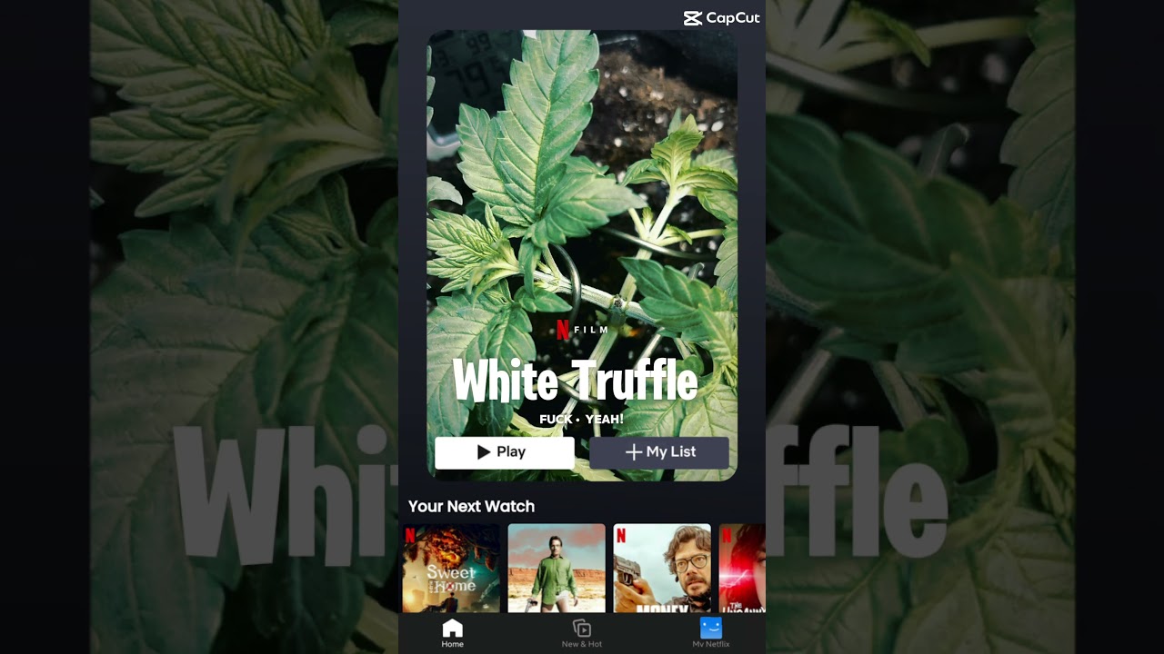 Beginner grower tries LOW STRESS TRAINING. 