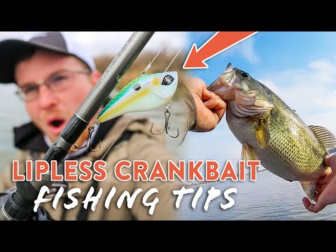 Lipless Crankbait Bass Fishing Tips! (MUST Know for Spring Fishing