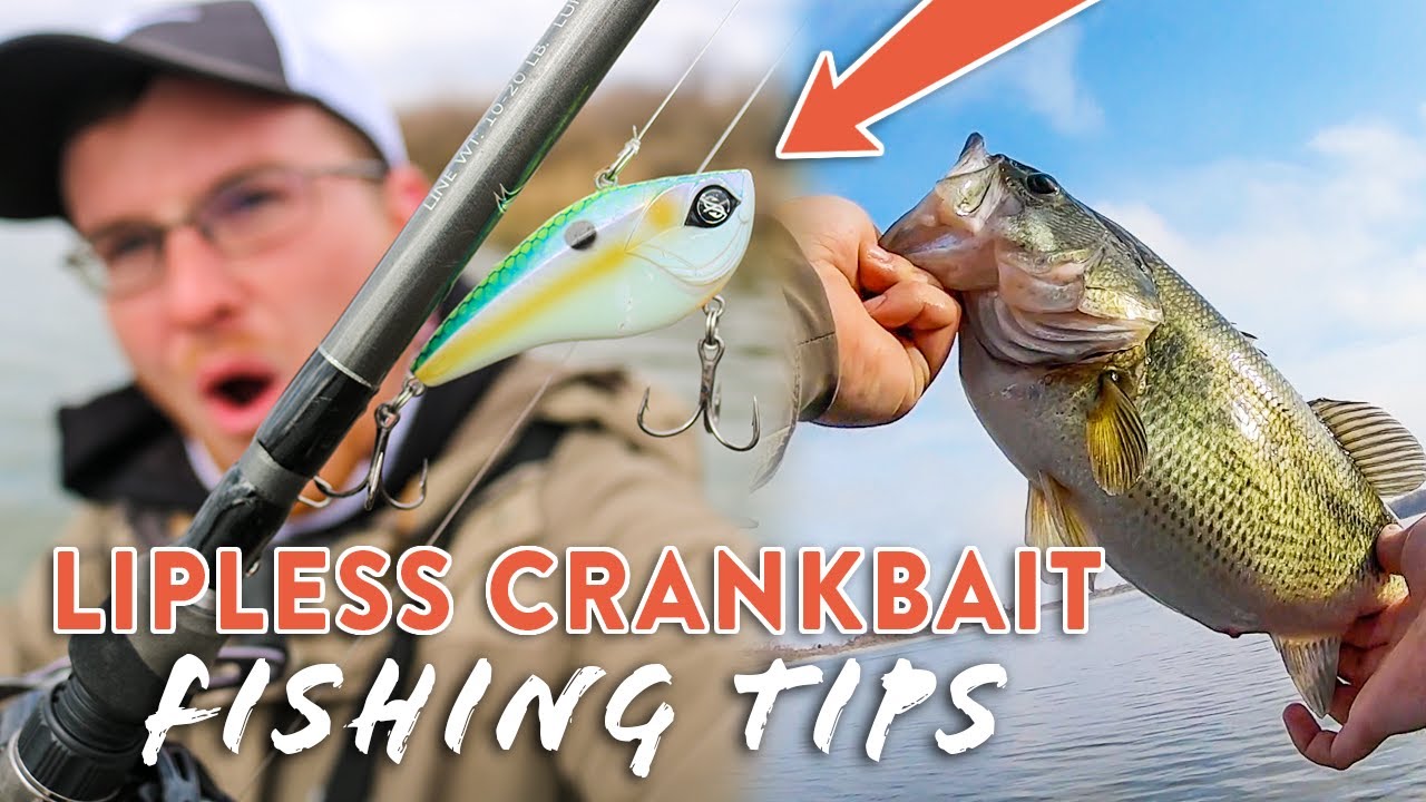 Lipless Crankbaits: When and How to Fish Them, and Some of the Best on the  Market - Wide Open Spaces