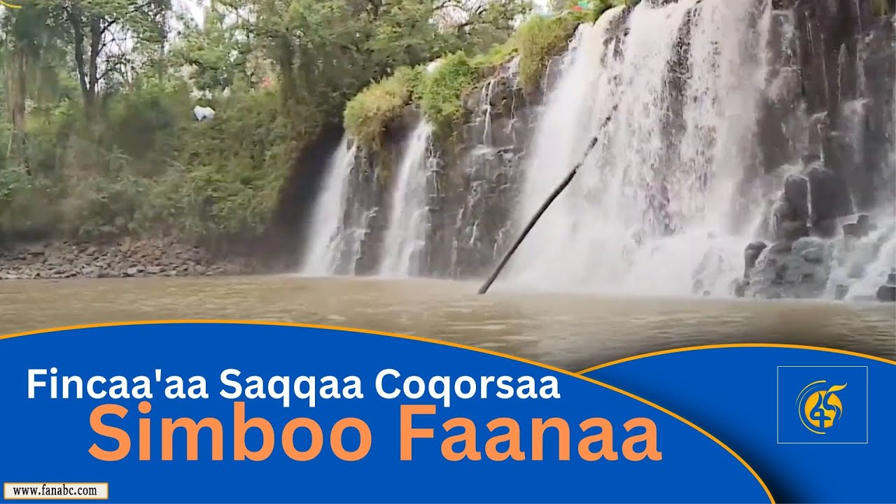 Fincaa'aa Saqqaa Coqorsaa