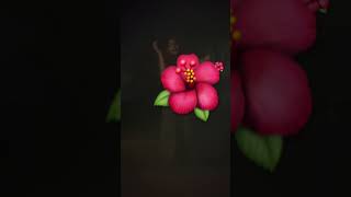 Location On Shirt Lollll