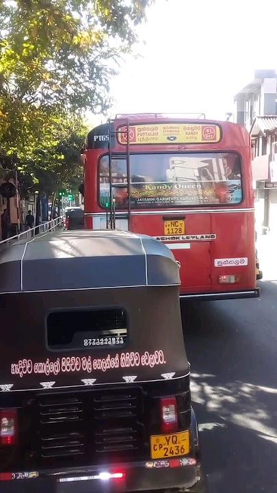 හැදිච්ච කොල්ලෝ පුත්තලමේ මල් කඩන්නේ හිතිච්චි වෙලාවට. පුත්තලම 81/602 මහනුවර PL 65