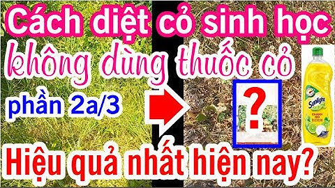 Agri1b. Cách diệt cỏ sinh học, không dùng thuốc cỏ, hiệu quả nhất hiện nay?