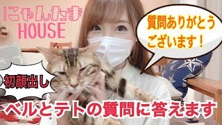 【質問コーナー】初顔出しでベンガル猫のベルとテトの質問にこたえます