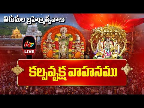 Srivari Varshika Brahmotsavam 2025 LIVE : కల్పవృక్ష వాహనము | శ్రీవారి బ్రహ్మోత్సవాలు 2025 | NTV - NTVTELUGU