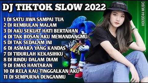DJ TIKTOK TERBARU 2022 || DJ SATU JIWA SAMPAI TUA || DJ AKU SEKUAT HATI BERTAHAN
