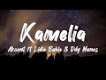 Akcent ft Lidia Buble & Ddy Nunes - Kamelia