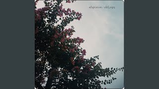 Adaptation (Demo)
