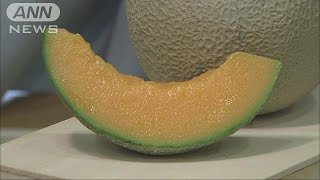 「あおもりカシス」「神戸ビーフ」など国がお墨付き(15/12/22)