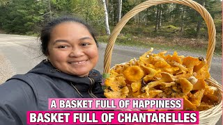 A BASKET FULL CHANTARELLES FROM THE FOREST|| MUSHROOM PICKING IN FINLAND