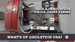 What's Up at Holstein USA: Data & Innovations