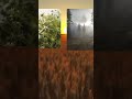 watch nature grow