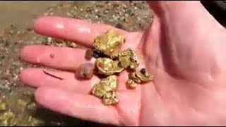 Primitive Technologies- Gold