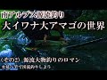 【源流釣り】大イワナ大アマゴの世界（その2）