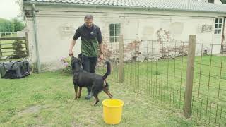 Hundetræning med Jan fra Egely Hunde  del 2 af 2