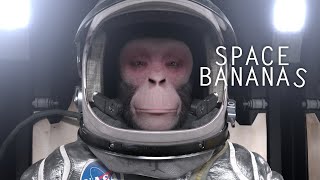 SPACE BANANAS