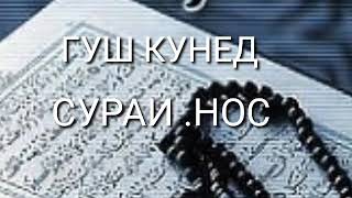 ГУШКУНЕ  СУРАИ  НОС