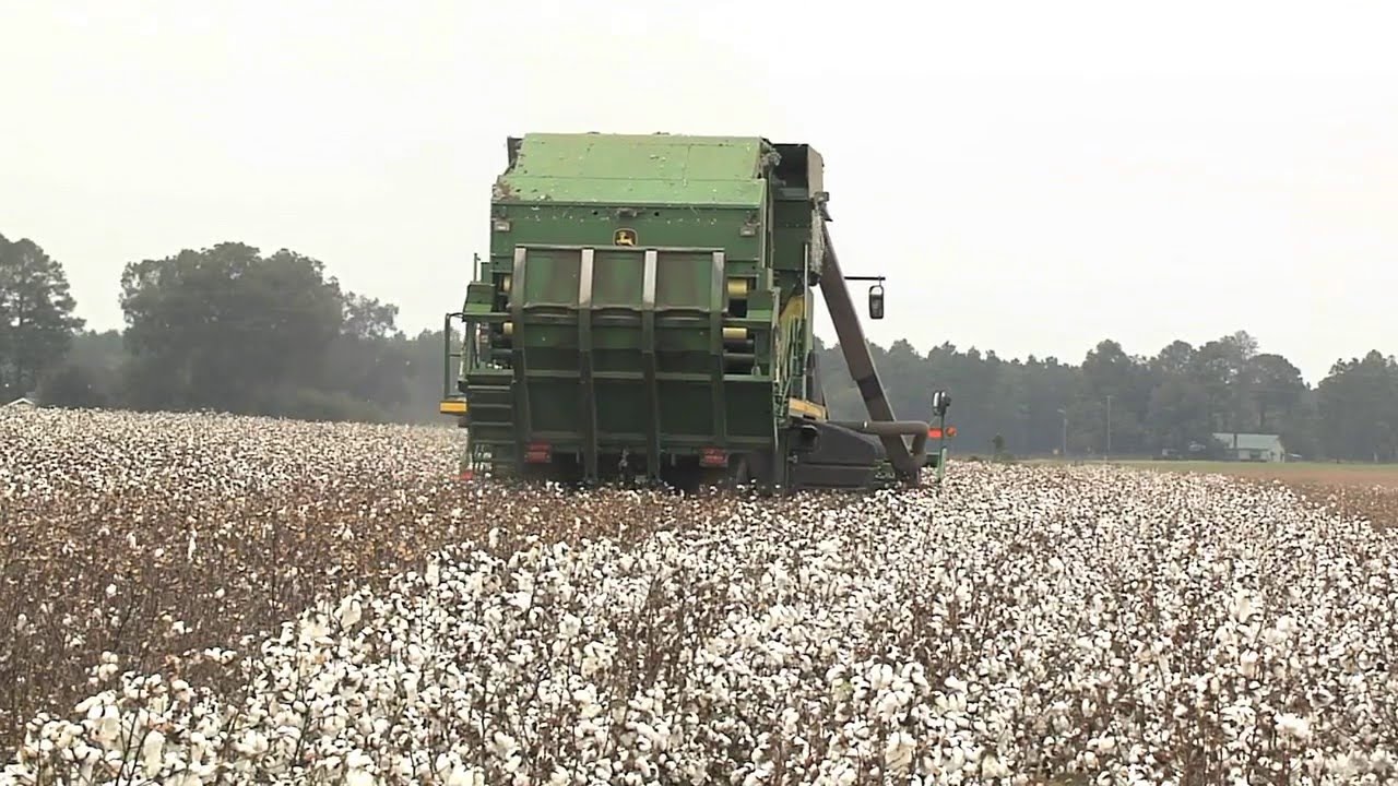 Cotton Production Meetings Prepare Growers For 2016 Crop ...