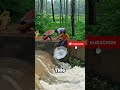 You Won’t Believe What He Caught With an Umbrella! #fishing #shortsfishing