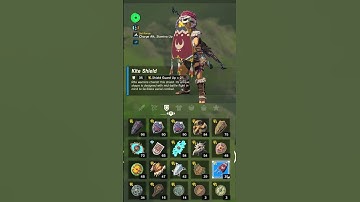 Missable Weapons In Zelda Breath of The Wild | BotW SHORTS