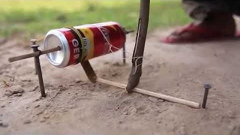 Easy Bird Trap Technology Make From Coca Cola and Popsicle Sticks..