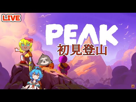 【PEAK】ソロ登山