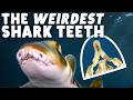 What’s Up With This Shark’s Mouth?