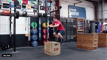Box Jump | TTT Exercise Index