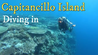 Diving in Capitancillo island, Philippines