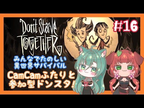 《Don't Starve Together/参加型/#16｠CamCamふたりはバトルバッグをつくるんば！