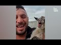 My Pig Can Talk, I Just Know It | Funny Farm Fails