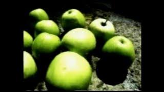 Jasmin  Mag - Moja  Evo