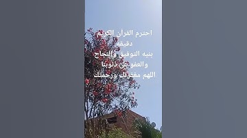 احترم القرآن الكريم دقيقه #اجر_لي_ولكم #سبحان_الله_وبحمده #اللهم_صل_وسلم_على_نبينا_محمد  #تيك_توك