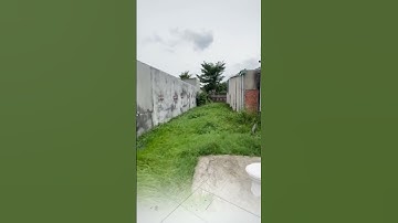 Bán đất Mặt tiền 5 x 47m đường Đặng Thúc Vịnh,  gần chợ Đông Thạnh Hóc Môn. 12,8 tỷ