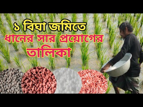 ভিডিও: সবুজ সার পরে কি রোপণ করবেন?