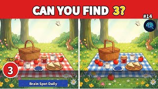 Spot 3 Differences @ Enchanted Forest Picnic: Eagle Eyes?! | Brain Spot Daily