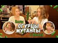 ЕДИМ ОГУРЦЫ-МУТАНТЫ С МАМОЙ