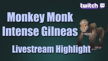 5.4 Windwalker PvP Monkey Monk Intense Gilneas