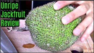 Unripe Jackfruit Review & How to use it- Weird Fruit Explorer Ep. 196