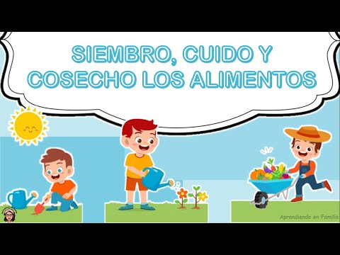 SIEMBRO, CUIDO Y COSECHO LOS ALIMENTOS - SEMANA 29 (Recurso Aprendo en Casa - Incial)