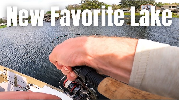 Testing and Reviewing the Daiwa D-Shock Ultralight Combo ($20) 
